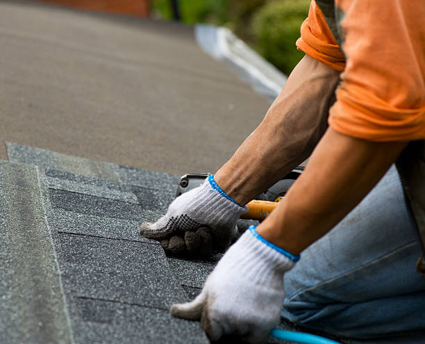 Best Roof Maintenance Services  in Heritage Pines, FL