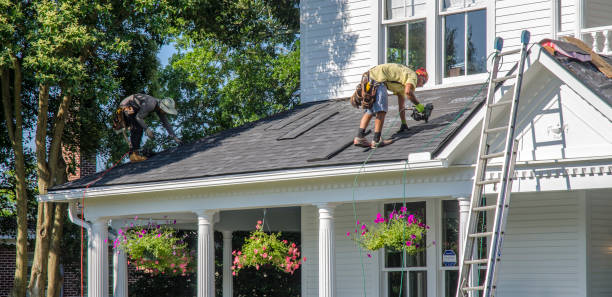 Best Roof Repair Services  in Heritage Pines, FL